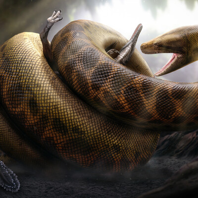 Titanoboa. The Stomping Land.