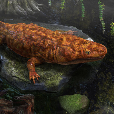 Metoposaurus diagnosticus.