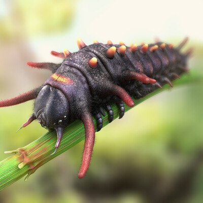 Caterpillar 