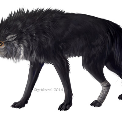 Wolf