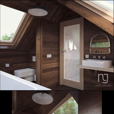 Bathroom in a hunting lodge.