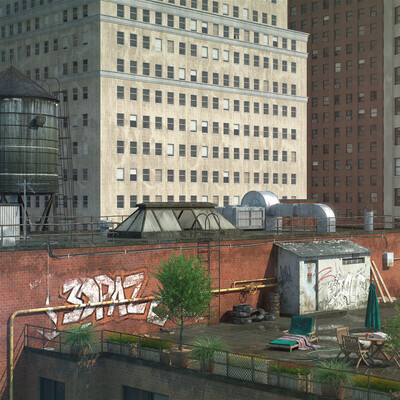 NYC Roofs