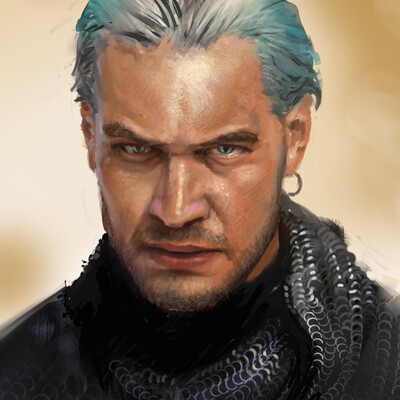 The witcher