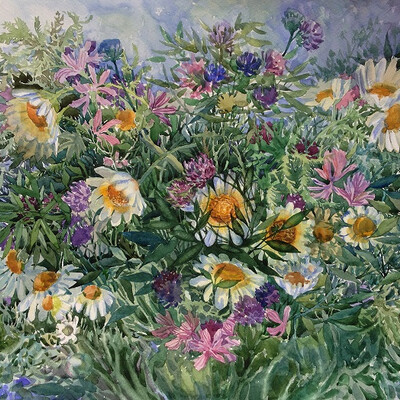 Wildflowers