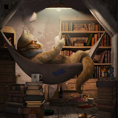 Book cat