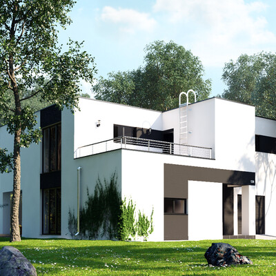 Modern house