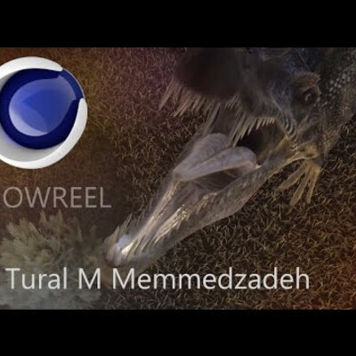 2014 шоурил К Турал М Memmedzadeh