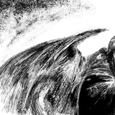 raven