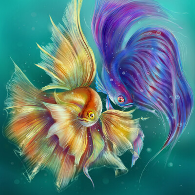 Fish