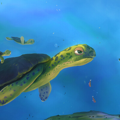 lost carapace