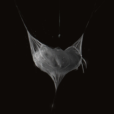 Spider cocoon
