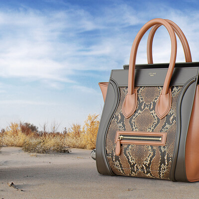 Celine Luggage Bag