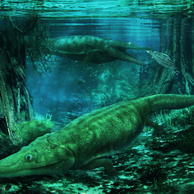 Mastodonsaurus giganteus.