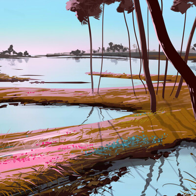 swamp