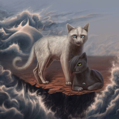 Cats' cliff