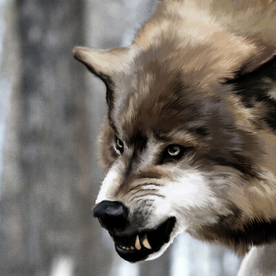 wolf