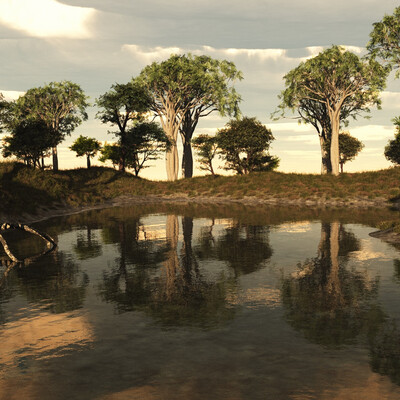 Forest lake