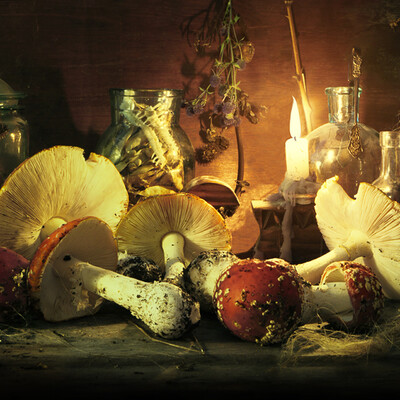 Witches recipe for eternal youth
