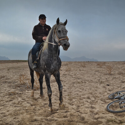 Shepherd and bicycle