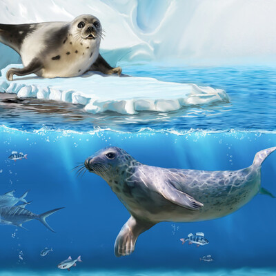 Seal slow and fast