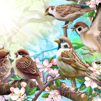 spring sparrows