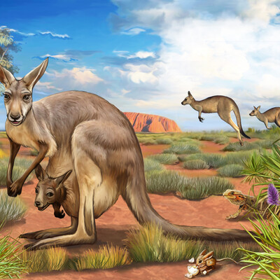 Kangaroo with baby