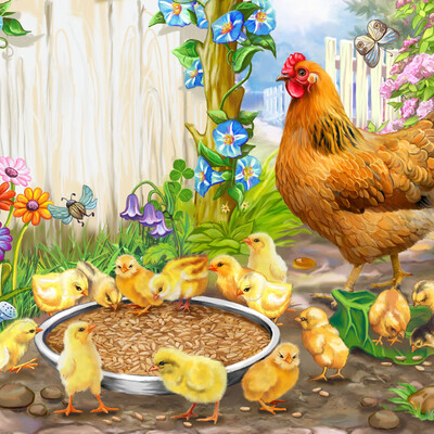 Chickens near feeders