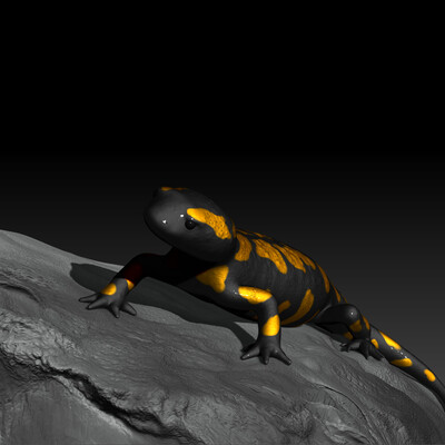 Salamandra