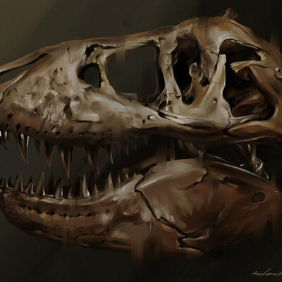 T-Rex skull 