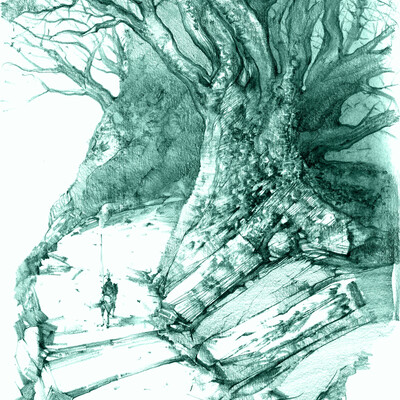 Forest guards