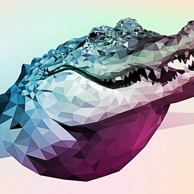 Crocodile