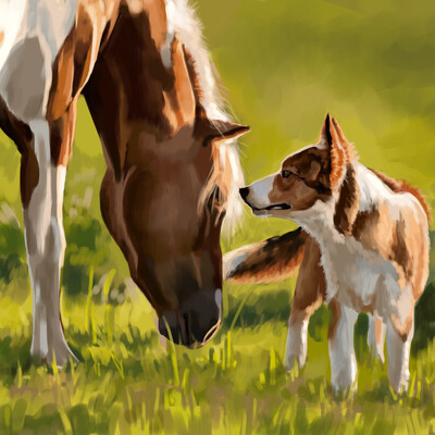 Seth horses