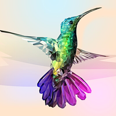 hummingbird