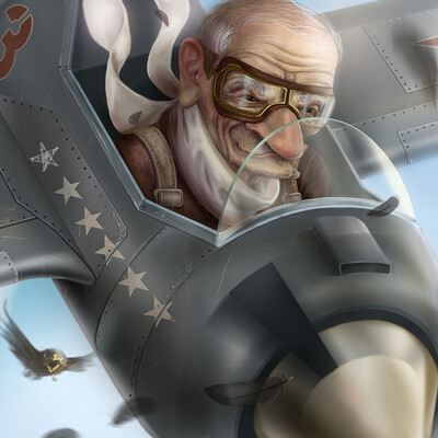 An experienced pilot