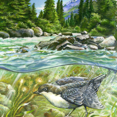 Underwater sparrow