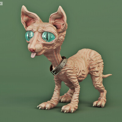 Pussy