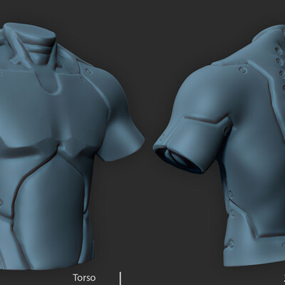 Torso