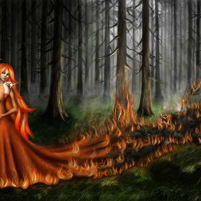 The fire in the forest