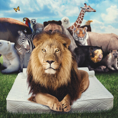 Promotional poster