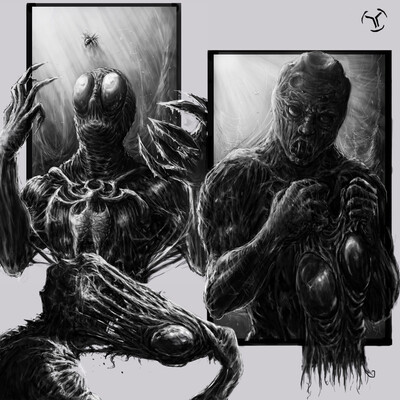 Fly-spider-man
