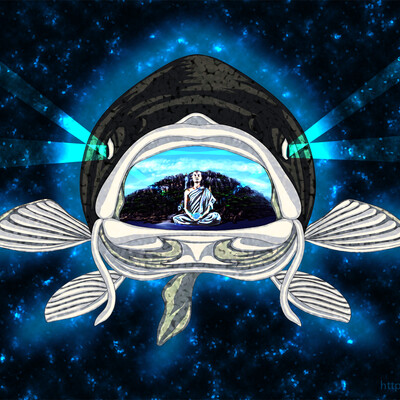 CArp