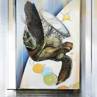 tortoise