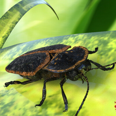 Firefly