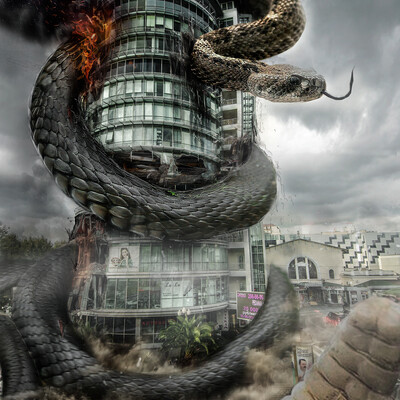 snake in city