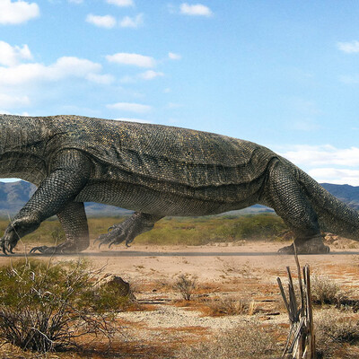 Megalania