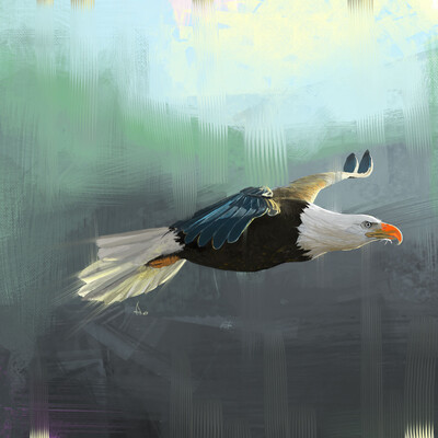freedom