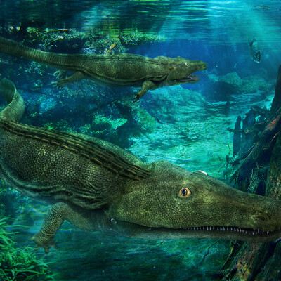 Melosaurus uralensis