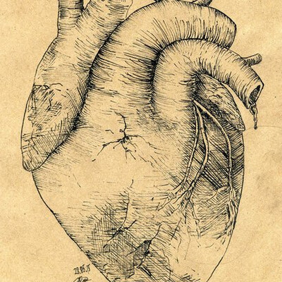 heart