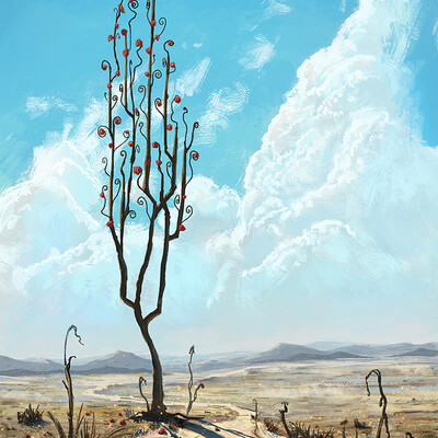 Desert