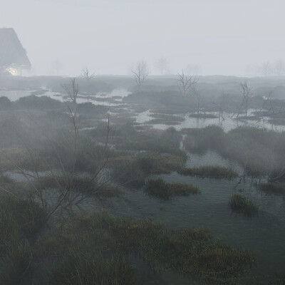 Swamp
